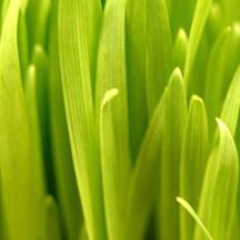 ddos在线压力测试平台