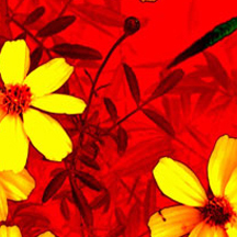 特价优惠的攻击网站的方法