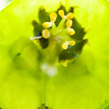 自动发码平台的ddos在线攻击工具